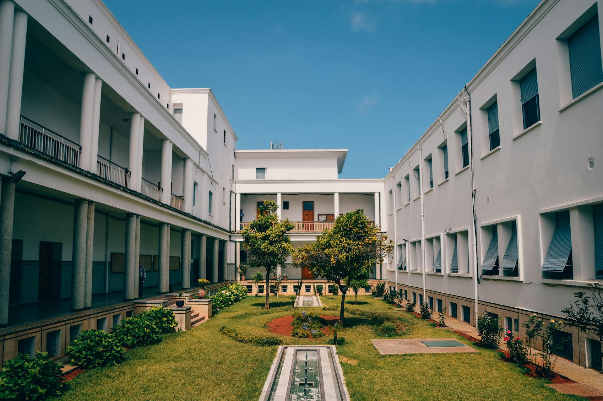 Ibdp Bridge Program